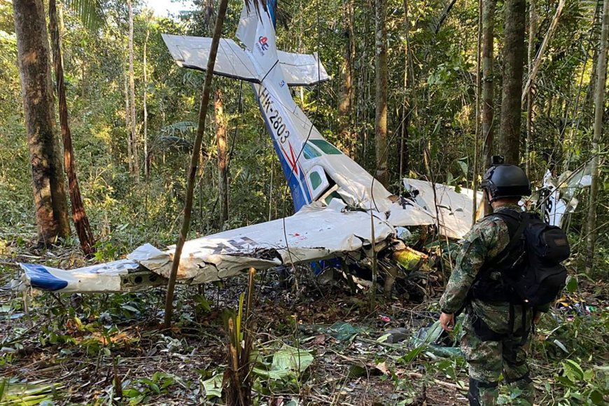 5 Politicians, Pilot Die In Plane Crash In Colombia: Authorities