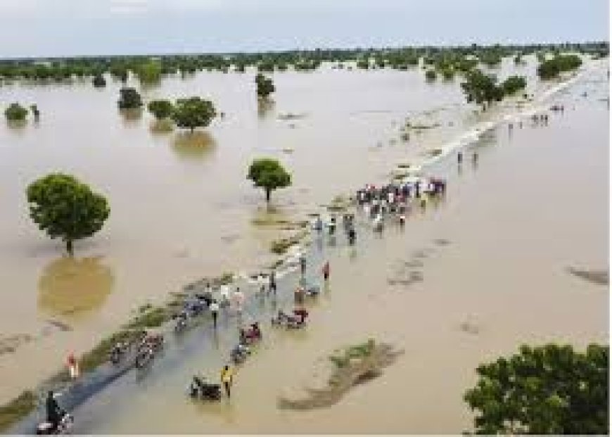 அடை மழை மற்றும் வெள்ளப்பெருக்கால் பிரதான ஆறுகளின் நீர்மட்டம் உயர்வு!