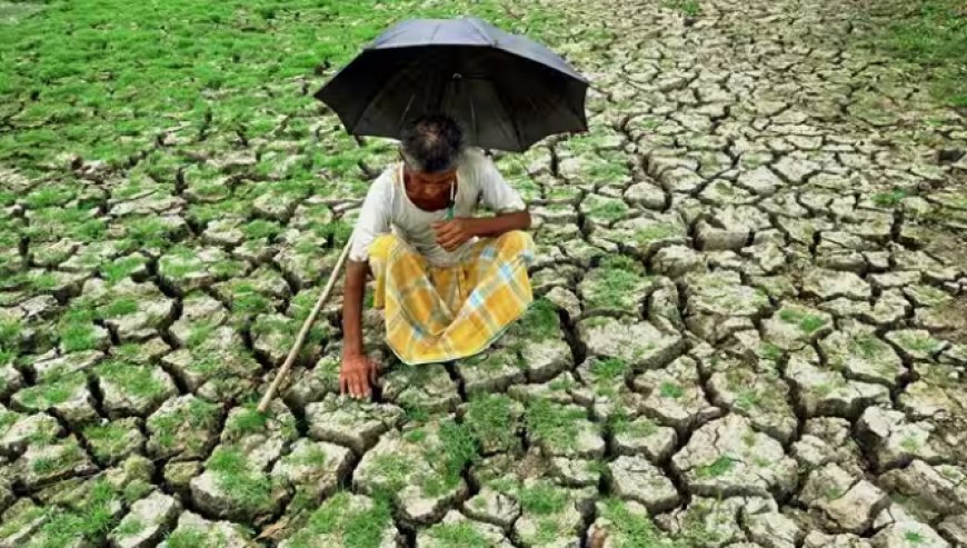 பயிர்ச்சேதம் மற்றும் நட்டத்திற்கு உள்ளான விவசாயிகளுக்கு இழப்பீடு வழங்க தீர்மானம்!