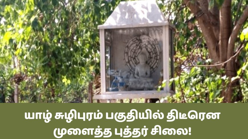 சுழிபுரம் சவுக்கடி கடற்கரை புத்தர் சிலையால் சர்ச்சை - சிலை அகற்றப்பட்டது?