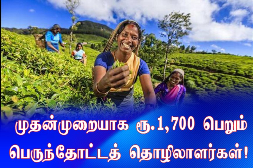 முதன்முறையாக இன்று ரூ.1700 பெறும் தோட்டத்தொழிலாளர்கள்!