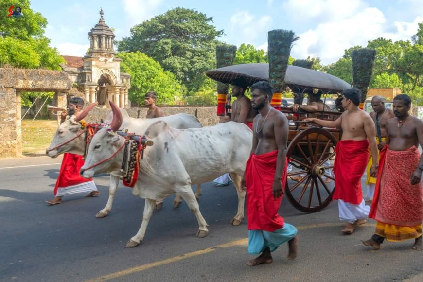 நல்லூர் கந்தசுவாமி ஆலயத்தின் வருடாந்த திருவிழாவிற்கான ஆயத்தப்பணிகள்!