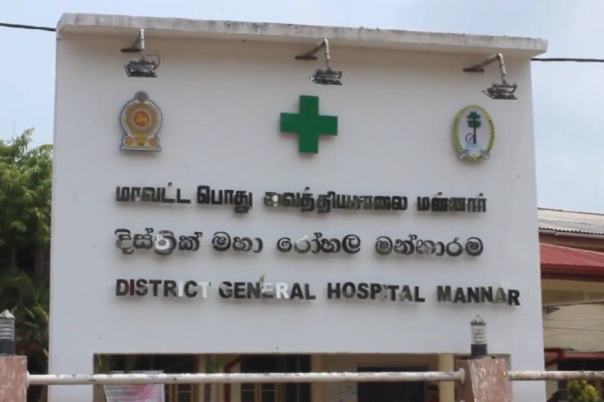 மன்னாரில் இளம் பட்டதாரி பெண்ணுக்கு நேர்ந்த கதி: வலுக்கும் கண்டனங்கள்!