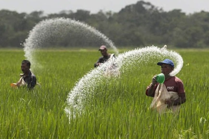 மரக்கறி செய்கையாளர்களுக்கு இலவச உரம் வழங்க நடவடிக்கை!