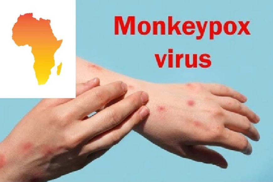 ஆபிரிக்காவில் குரங்கு அம்மை நோயால்  18,000க்கும் மேற்பட்டோர் பாதிப்பட்டுள்ளனர்!