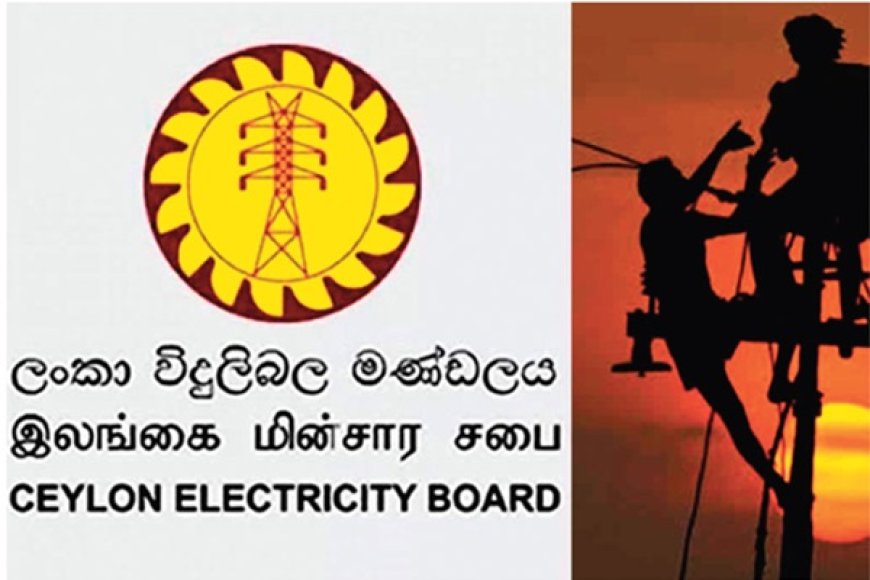 உடன் நடவடிக்கை எடுத்து மின் கட்டணத்தை 45 சதவீதமாவது குறைக்குமாறு கோரிக்கை!