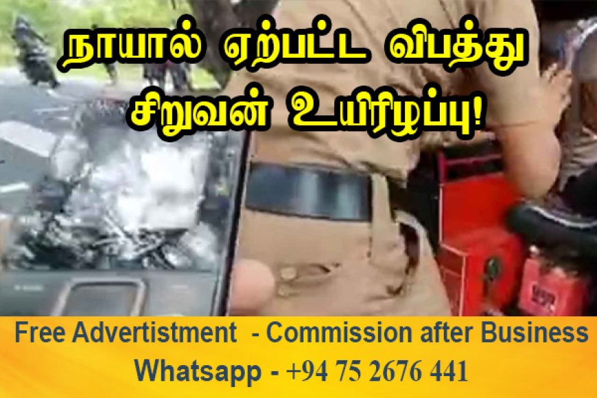 நாயால் ஏற்பட்டு விபத்து - சிறுவன் உயிரிழப்பு!