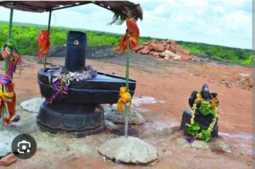 வெடுக்குநாறிமலையில் மாலை 6 மணி வரை சிவராத்திரி தின பூஜை