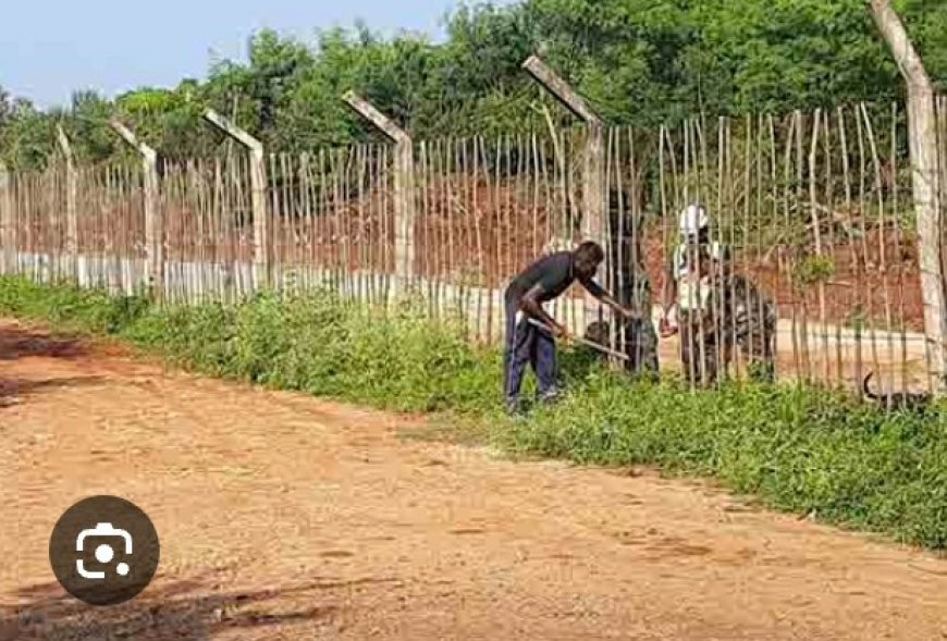 யாழ்.இராணுவ உயர் பாதுகாப்பு வலயத்தினுள் இருந்த காணிகள் விடுவிப்பு