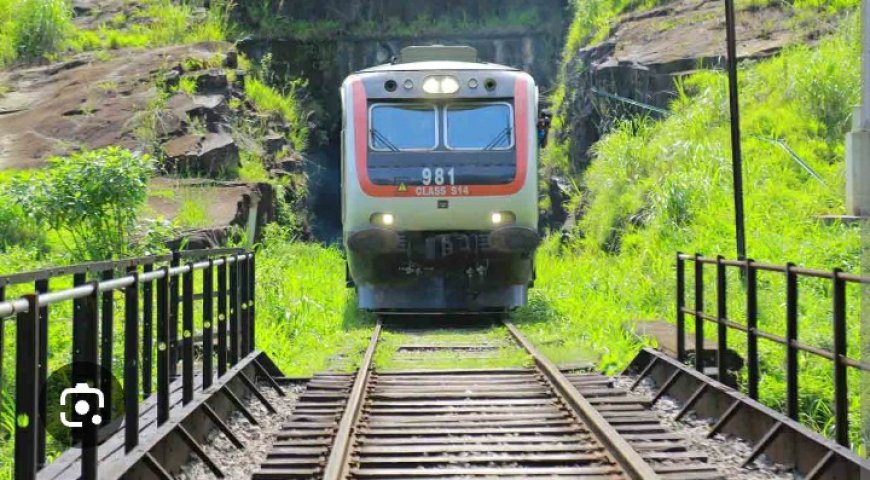 மரம் முறிந்து விழுந்ததால் மலையக ரயில் சேவை பாதிப்பு